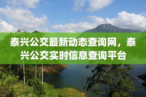 泰興公交最新動(dòng)態(tài)查詢網(wǎng)，泰興公交實(shí)時(shí)信息查詢平臺(tái)