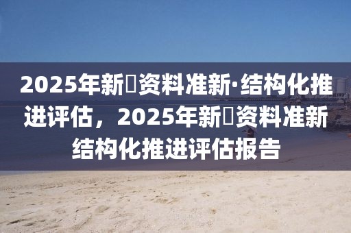 2025年新奧資料準新·結構化推進評估，2025年新奧資料準新結構化推進評估報告