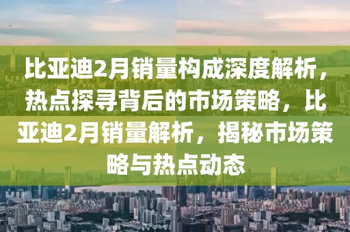 比亞迪2月銷量構成深度解析，熱點探尋背后的市場策略，比亞迪2月銷量解析，揭秘市場策略與熱點動態