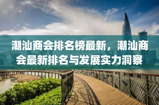 潮汕商會排名榜最新，潮汕商會最新排名與發展實力洞察