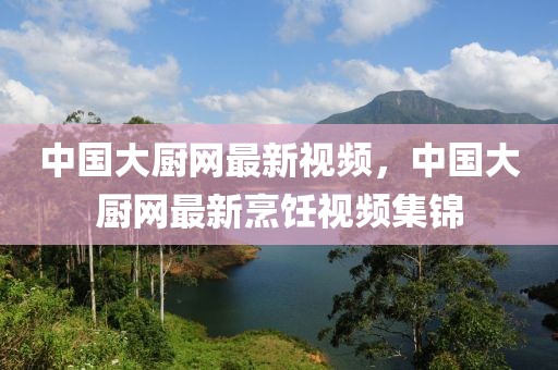 中國大廚網最新視頻，中國大廚網最新烹飪視頻集錦