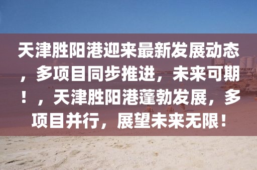 天津勝陽港迎來最新發展動態，多項目同步推進，未來可期！，天津勝陽港蓬勃發展，多項目并行，展望未來無限！