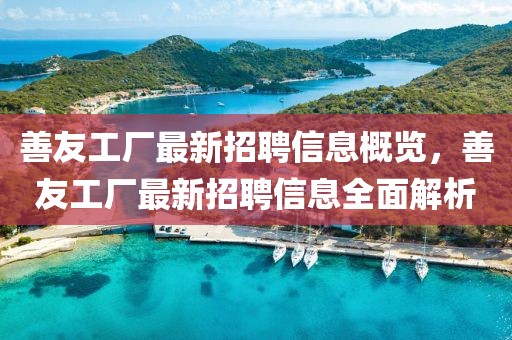 善友工廠最新招聘信息概覽，善友工廠最新招聘信息全面解析