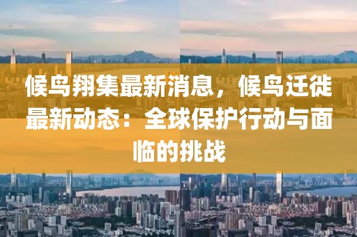 候鳥翔集最新消息，候鳥遷徙最新動態：全球保護行動與面臨的挑戰