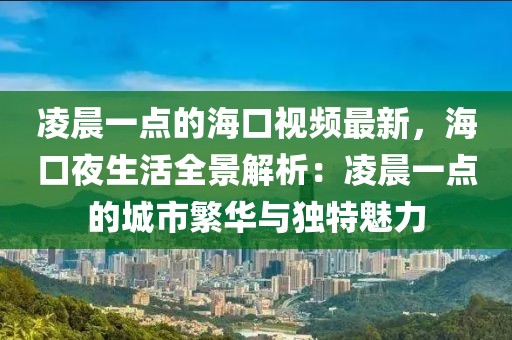 凌晨一點(diǎn)的海口視頻最新，海口夜生活全景解析：凌晨一點(diǎn)的城市繁華與獨(dú)特魅力