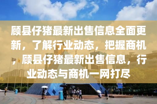 顧縣仔豬最新出售信息全面更新，了解行業動態，把握商機，顧縣仔豬最新出售信息，行業動態與商機一網打盡