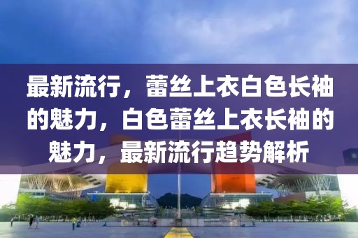 最新流行，蕾絲上衣白色長袖的魅力，白色蕾絲上衣長袖的魅力，最新流行趨勢解析