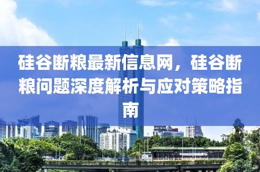 硅谷斷糧最新信息網(wǎng)，硅谷斷糧問題深度解析與應(yīng)對(duì)策略指南