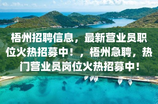 梧州招聘信息，最新營業(yè)員職位火熱招募中！，梧州急聘，熱門營業(yè)員崗位火熱招募中！