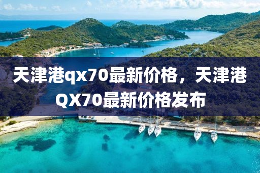 天津港qx70最新價格，天津港QX70最新價格發布