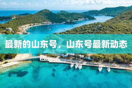 最新的山東號，山東號最新動態
