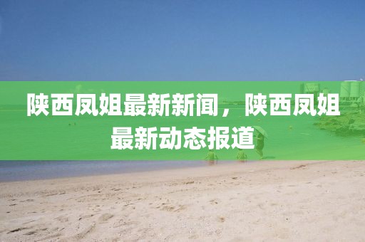 陜西鳳姐最新新聞，陜西鳳姐最新動態報道