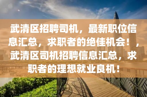 武清區(qū)招聘司機(jī)，最新職位信息匯總，求職者的絕佳機(jī)會(huì)！，武清區(qū)司機(jī)招聘信息匯總，求職者的理想就業(yè)良機(jī)！