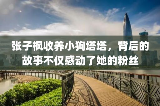 張子楓收養(yǎng)小狗塔塔，背后的故事不僅感動(dòng)了她的粉絲