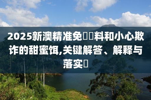 2025新澳精準(zhǔn)免費(fèi)資料和小心欺詐的甜蜜餌,關(guān)鍵解答、解釋與落實(shí)?