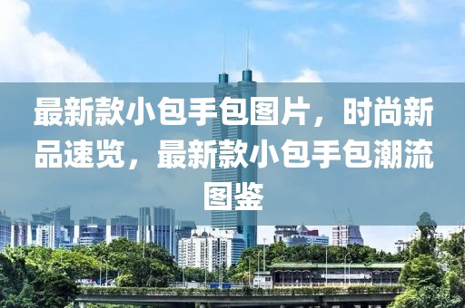最新款小包手包圖片，時尚新品速覽，最新款小包手包潮流圖鑒