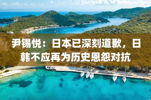 尹錫悅：日本已深刻道歉，日韓不應(yīng)再為歷史恩怨對抗