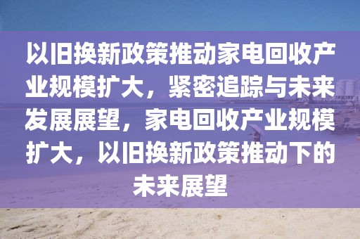 2025年3月11日