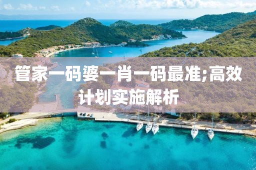 管家一碼婆一肖一碼最準(zhǔn);高效計(jì)劃實(shí)施解析