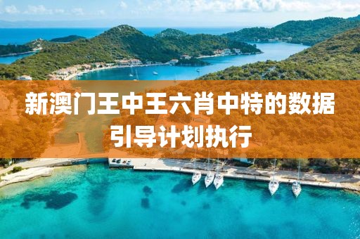 新澳門王中王六肖中特的數據引導計劃執行