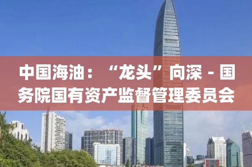 中國海油：“龍頭”向深－國務院國有資產監(jiān)督管理委員會