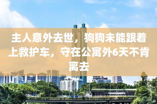 主人意外去世，狗狗未能跟著上救護車，守在公寓外6天不肯離去