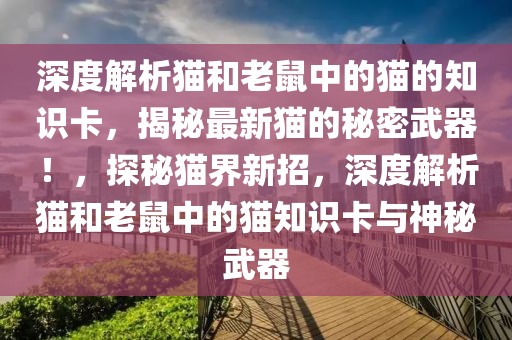 深度解析貓和老鼠中的貓的知識卡，揭秘最新貓的秘密武器！，探秘貓界新招，深度解析貓和老鼠中的貓知識卡與神秘武器