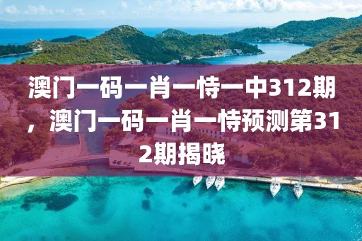 澳門一碼一肖一恃一中312期，澳門一碼一肖一恃預測第312期揭曉