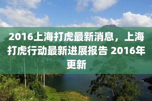 2016上海打虎最新消息，上海打虎行動最新進展報告 2016年更新