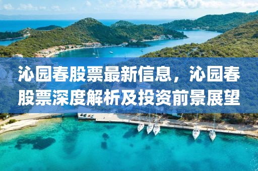 沁園春股票最新信息，沁園春股票深度解析及投資前景展望