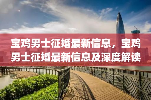 寶雞男士征婚最新信息，寶雞男士征婚最新信息及深度解讀