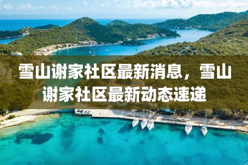 雪山謝家社區最新消息，雪山謝家社區最新動態速遞