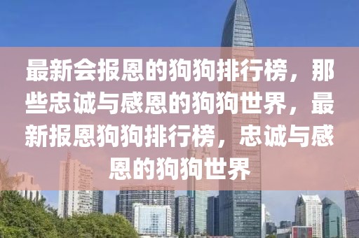 最新會報恩的狗狗排行榜，那些忠誠與感恩的狗狗世界，最新報恩狗狗排行榜，忠誠與感恩的狗狗世界