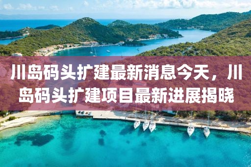 川島碼頭擴建最新消息今天，川島碼頭擴建項目最新進展揭曉