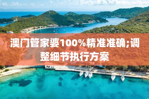 澳門管家婆100%精準準確;調整細節執行方案