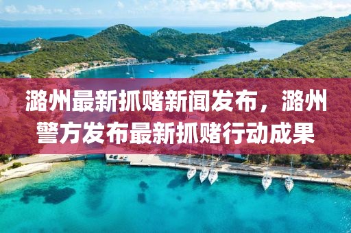 潞州最新抓賭新聞發(fā)布，潞州警方發(fā)布最新抓賭行動(dòng)成果