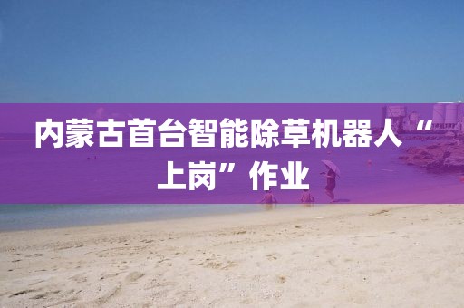 內蒙古首臺智能除草機器人“上崗”作業