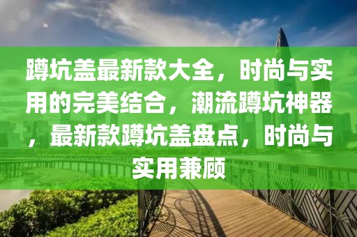 蹲坑蓋最新款大全，時尚與實用的完美結(jié)合，潮流蹲坑神器，最新款蹲坑蓋盤點，時尚與實用兼顧