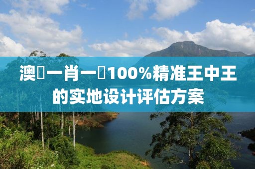 澳門一肖一碼100%精準王中王的實地設計評估方案