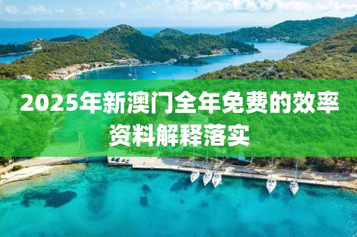 2025年新澳門全年免費的效率資料解釋落實