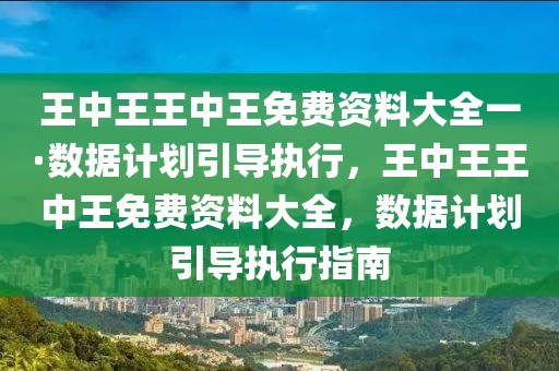 王中王王中王免費資料大全一·數據計劃引導執行，王中王王中王免費資料大全，數據計劃引導執行指南