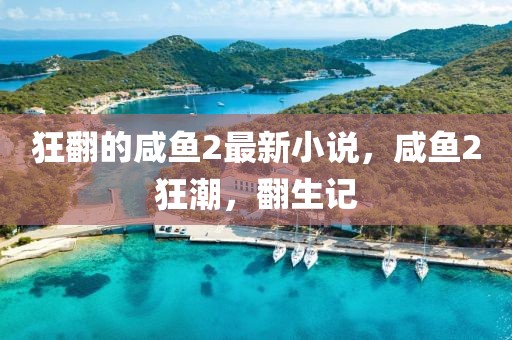 狂翻的咸魚2最新小說，咸魚2狂潮，翻生記