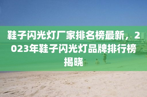 鞋子閃光燈廠家排名榜最新，2023年鞋子閃光燈品牌排行榜揭曉