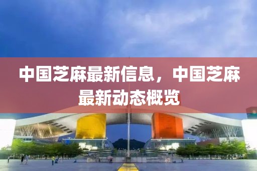 中國(guó)芝麻最新信息，中國(guó)芝麻最新動(dòng)態(tài)概覽