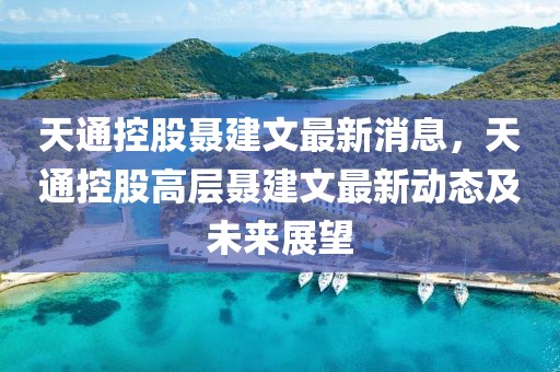 天通控股聶建文最新消息，天通控股高層聶建文最新動態及未來展望