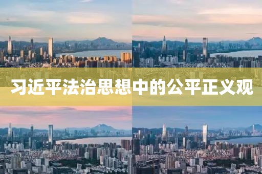 習(xí)近平法治思想中的公平正義觀