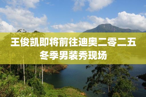 王俊凱即將前往迪奧二零二五冬季男裝秀現(xiàn)場