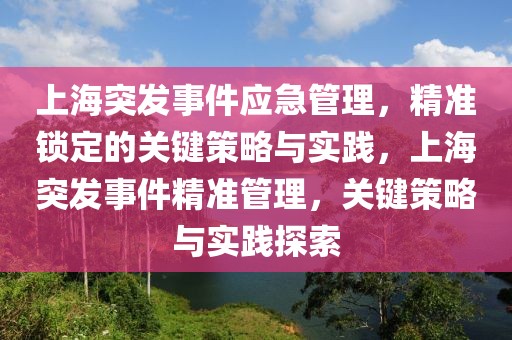 上海突發事件應急管理，精準鎖定的關鍵策略與實踐，上海突發事件精準管理，關鍵策略與實踐探索