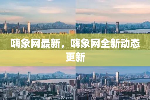 嗨象網(wǎng)最新，嗨象網(wǎng)全新動(dòng)態(tài)更新
