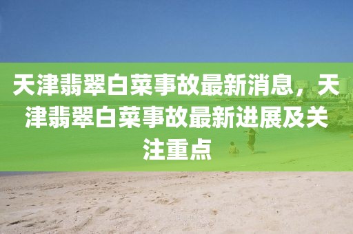 天津翡翠白菜事故最新消息，天津翡翠白菜事故最新進展及關注重點